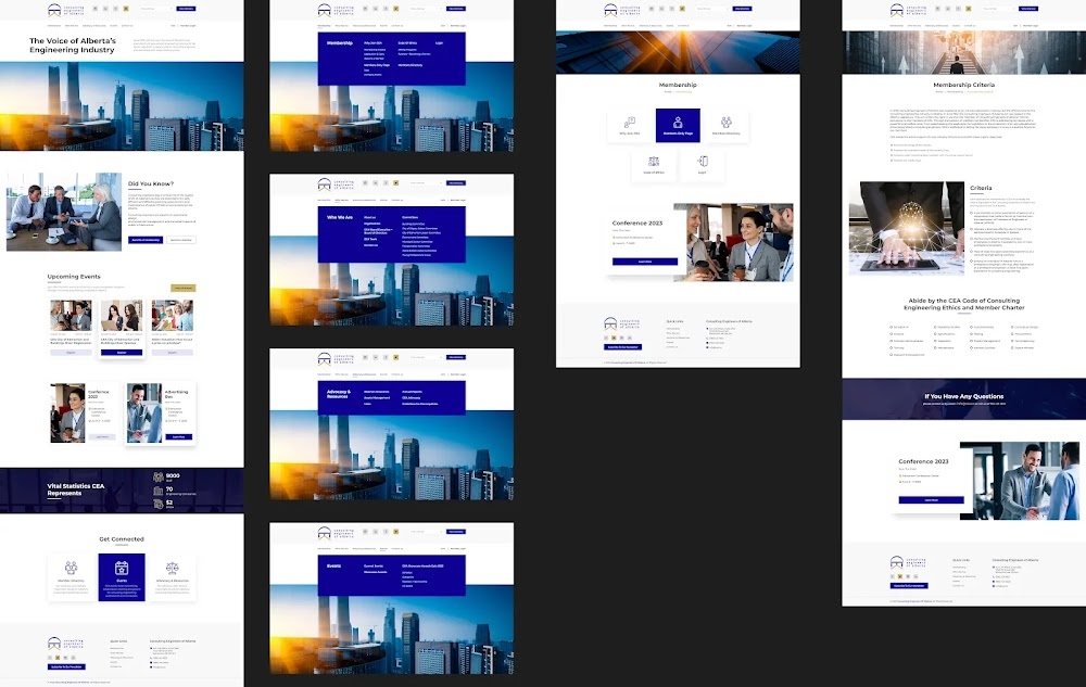 Image of Work Experience
